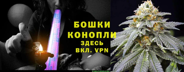 прущие грибы Балабаново