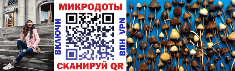 Псилоцибиновые грибы GOLDEN TEACHER  Заполярный 